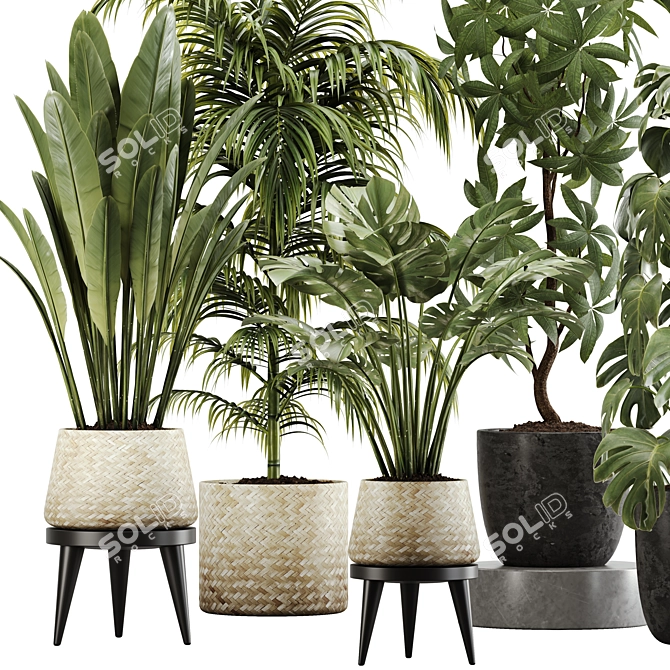 Botanical Bliss: Indoor Plant Set 20 3D model image 2