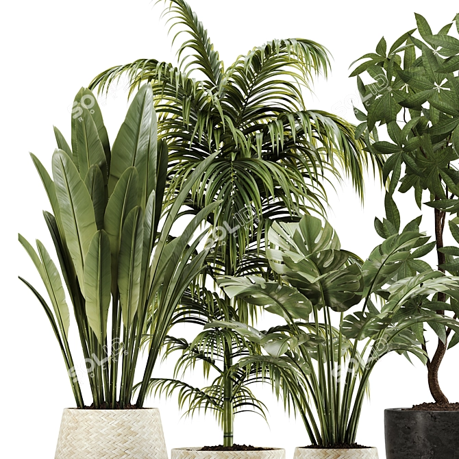 Botanical Bliss: Indoor Plant Set 20 3D model image 5