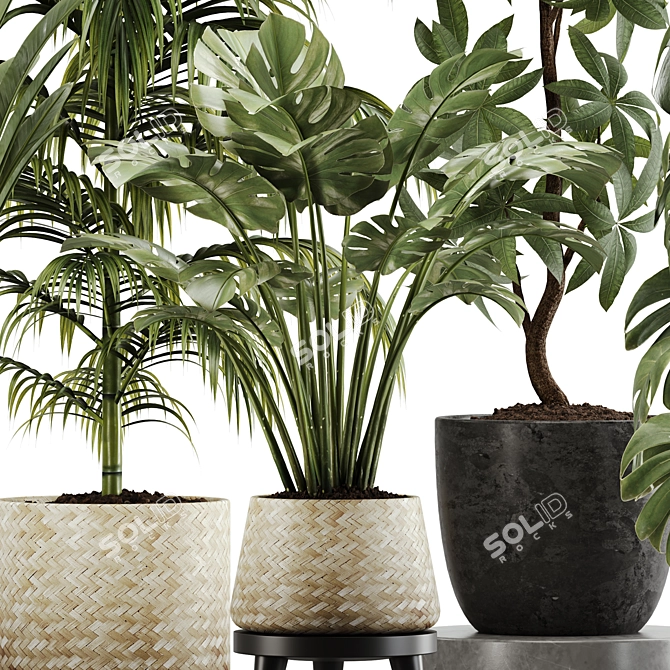 Botanical Bliss: Indoor Plant Set 20 3D model image 6