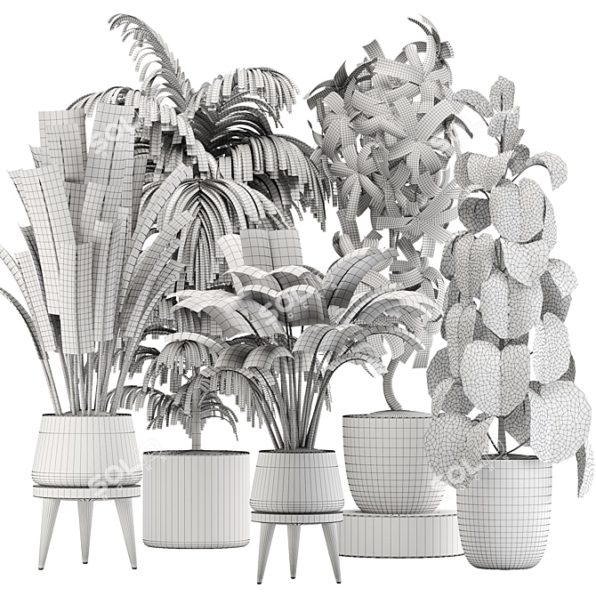 Botanical Bliss: Indoor Plant Set 20 3D model image 7
