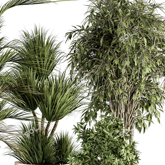 Oasis of Green: Indoor Tree & Plant Set 3D model image 3