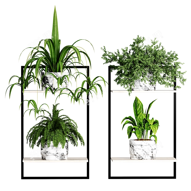 Indoor Plant Collection - 56 Varieties 3D model image 2