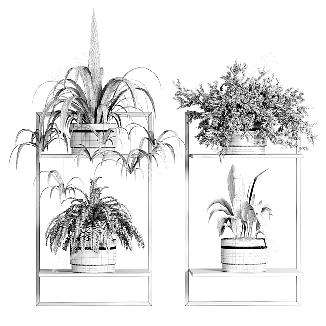 Indoor Plant Collection - 56 Varieties 3D model image 4