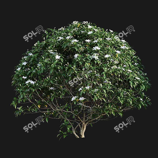 Antique 3D Models Bundle 3D model image 3