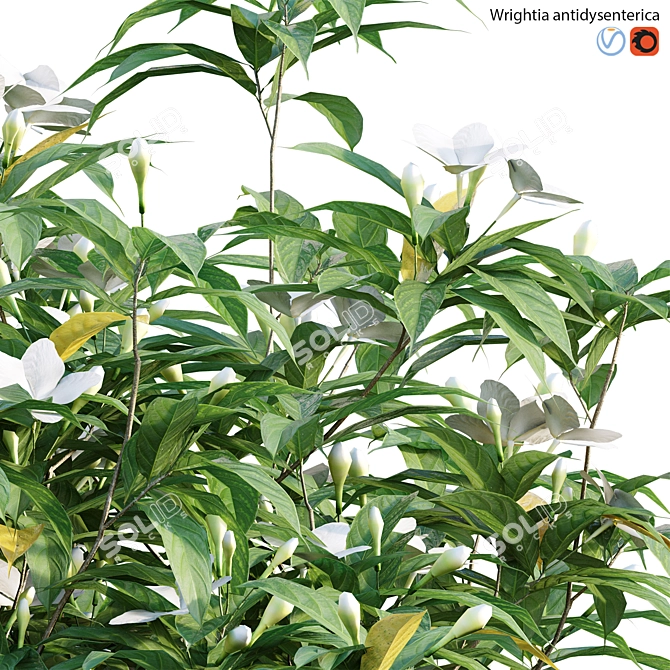 Antique 3D Models Bundle 3D model image 6