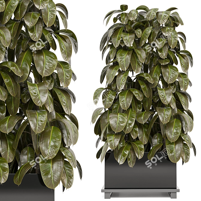 Lush Green Indoor Plants Collection 3D model image 1