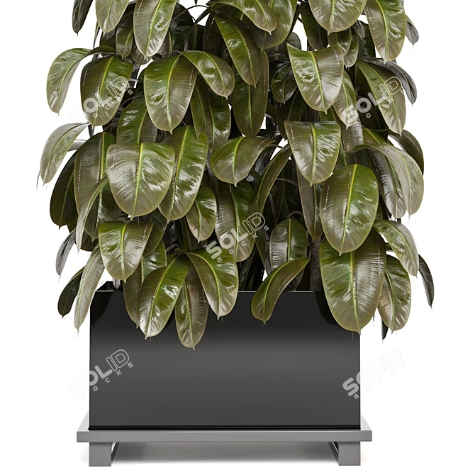 Lush Green Indoor Plants Collection 3D model image 2