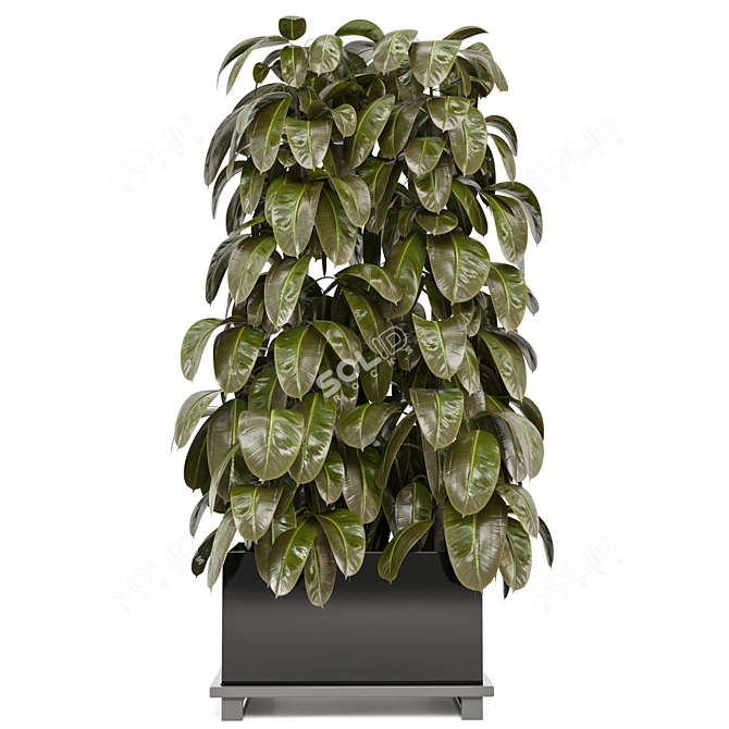 Lush Green Indoor Plants Collection 3D model image 4