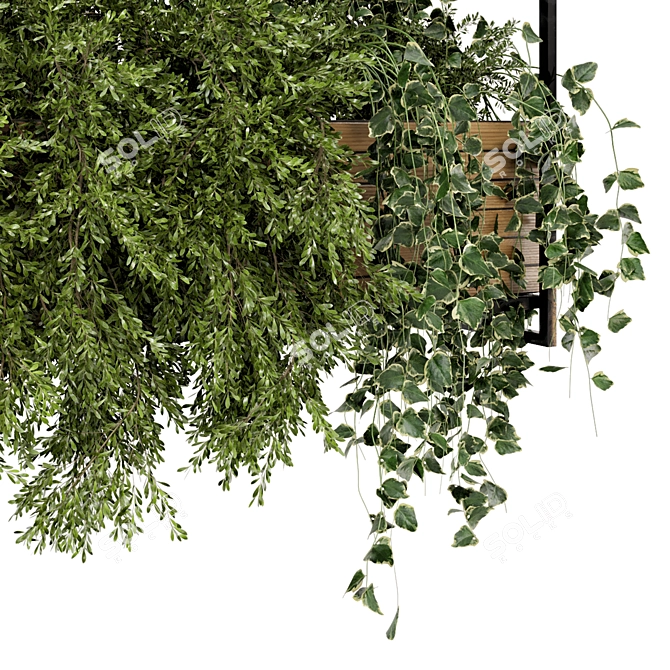 Metal Box Hanging Plants - Set 527 3D model image 5