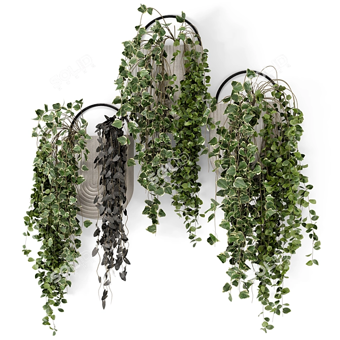 Concrete Pot Hanging Plants - Set 528 3D model image 2