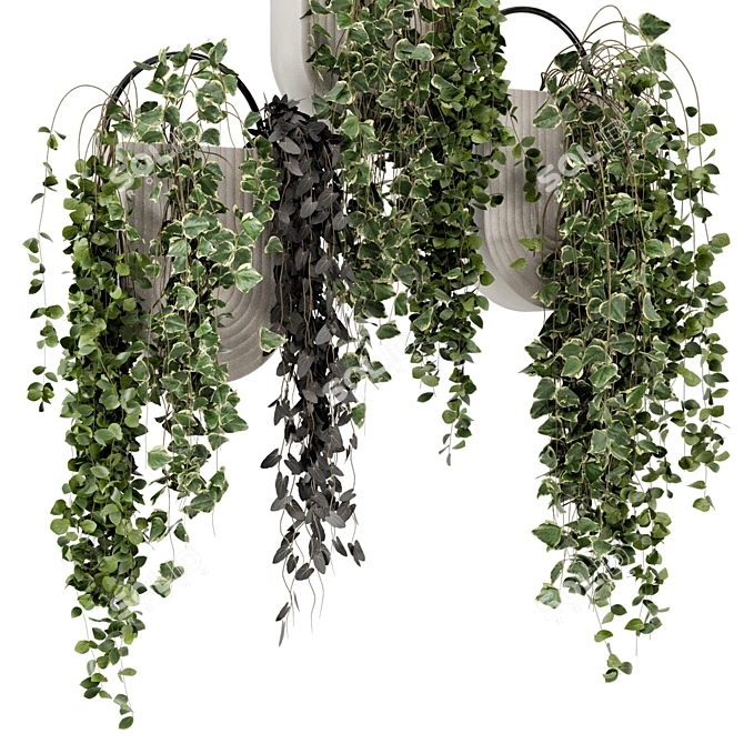 Concrete Pot Hanging Plants - Set 528 3D model image 3