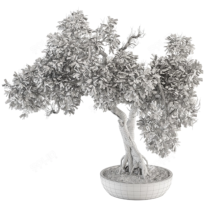 Zen Oasis: Bonsai Plant Set 3D model image 4