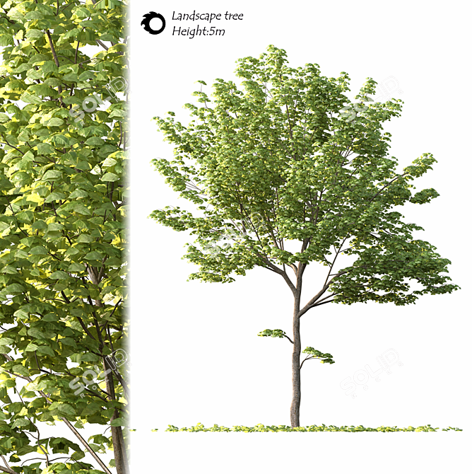 2014 Landscape Tree Sculpture 3D model image 1