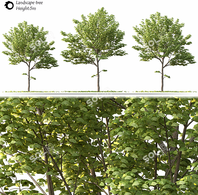 2014 Landscape Tree Sculpture 3D model image 2