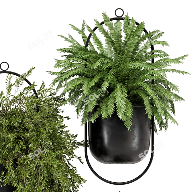 Modern Metal Hanging Plant Set 3D model image 2