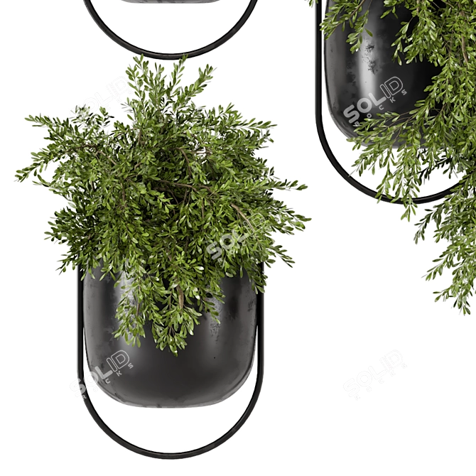 Modern Metal Hanging Plant Set 3D model image 6