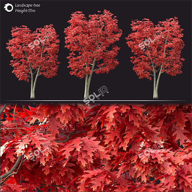 2014 Landscape Tree: 15cm Height | Corona Render 3D model image 2