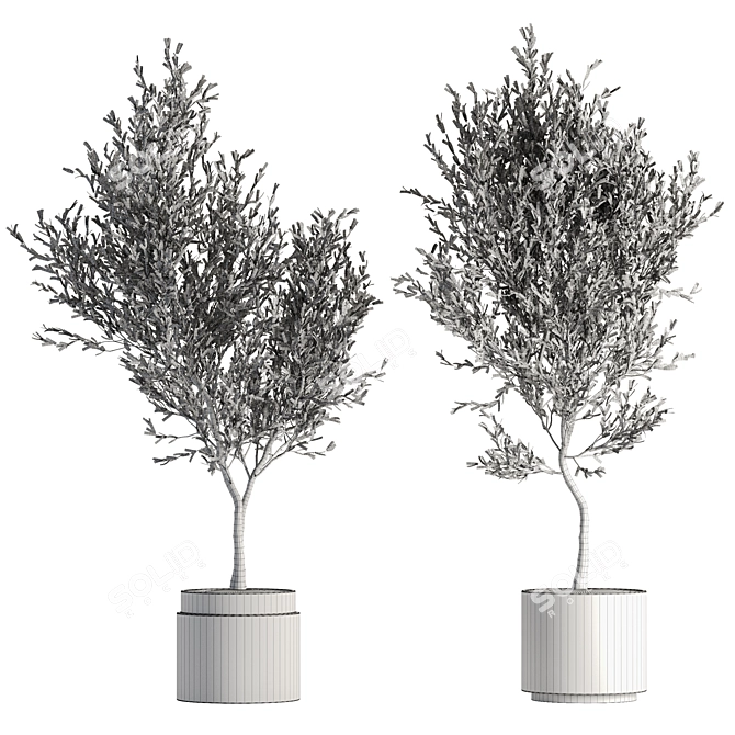 26-Piece Indoor Plant Set: V-Ray/Corona, High-Polys, 2015 3D model image 6