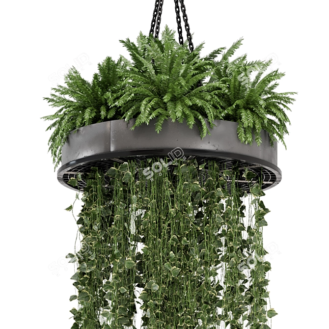 Metal Box Hanging Plants for Indoor Décor 3D model image 4