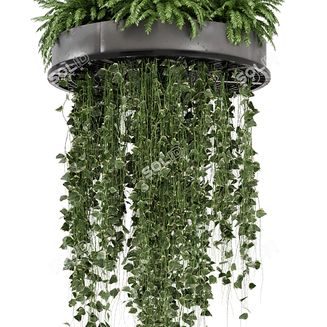 Metal Box Hanging Plants for Indoor Décor 3D model image 5