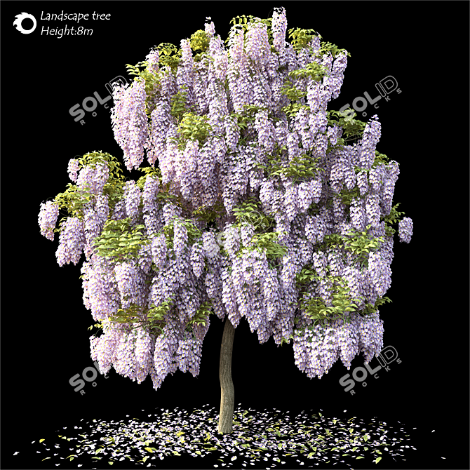 2014 Landscape Tree: 8m Height, Corona Render 3D model image 1