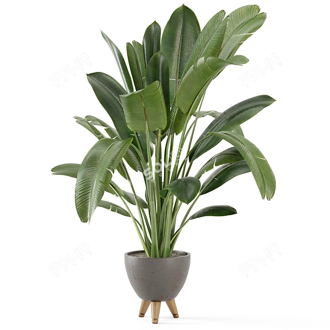 Rusty Concrete Pot Indoor Plants Set 3D model image 6