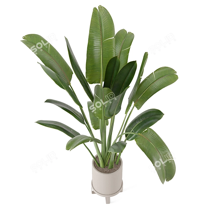 Rusty Concrete Pot Indoor Plants Set 3D model image 2