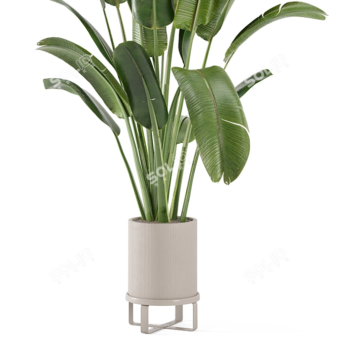 Rusty Concrete Pot Indoor Plants Set 3D model image 4