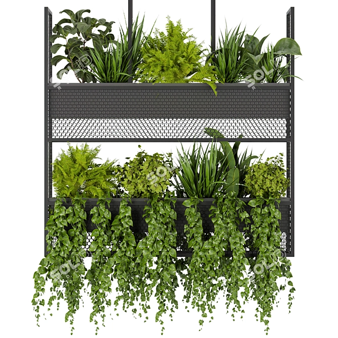 Green Oasis Hanging Plant Collection 3D model image 2