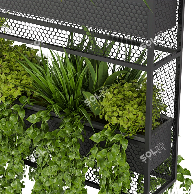 Green Oasis Hanging Plant Collection 3D model image 3