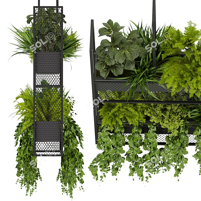 Green Oasis Hanging Plant Collection 3D model image 5