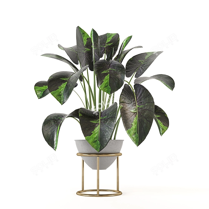 Nature's Haven Indoor Plant Set 3D model image 5