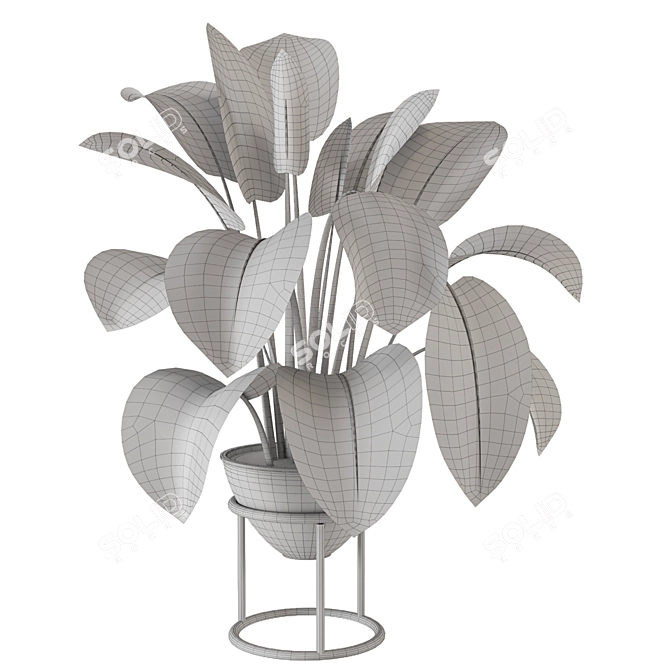 Nature's Haven Indoor Plant Set 3D model image 6