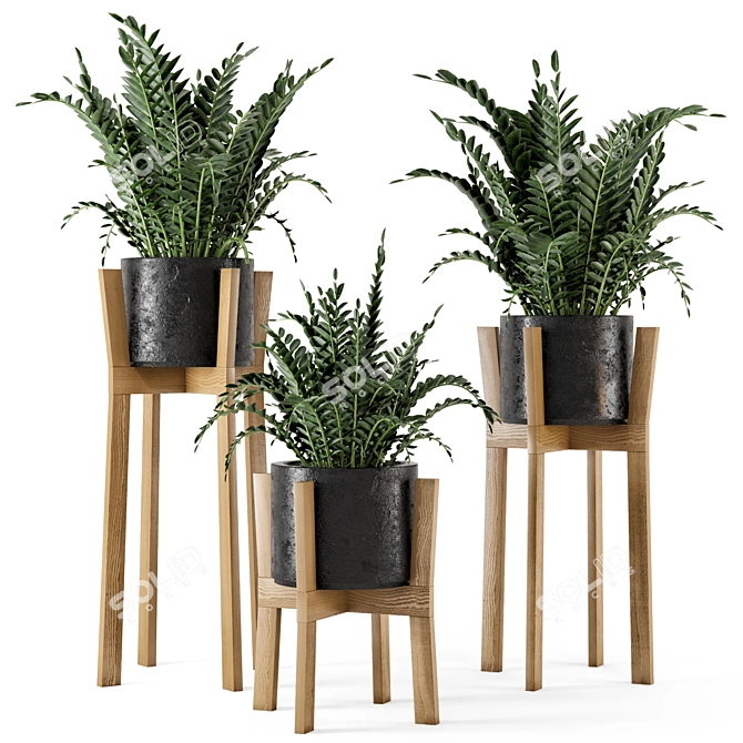 Rustic Indoor Plants in Concrete Pot - Set 535 3D model image 1
