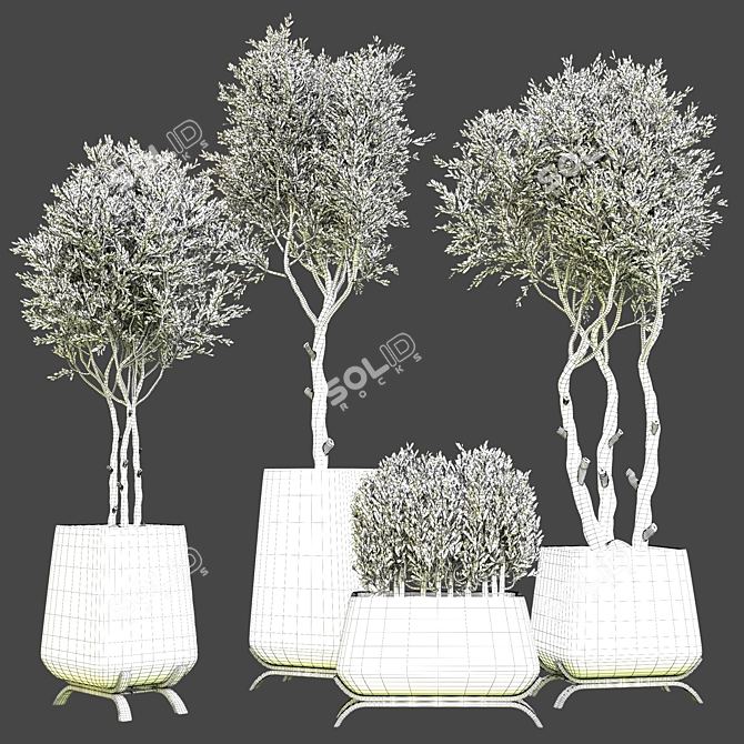 Indoor Plant Vol. 45 - 2015 Edition 3D model image 4