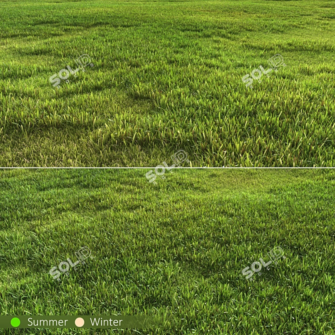 Versatile Grass Pack 3D model image 1