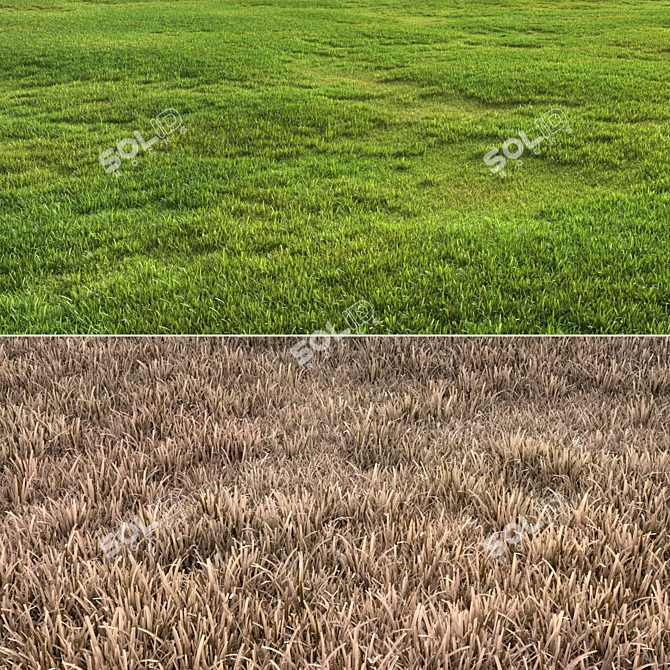 Versatile Grass Pack 3D model image 2