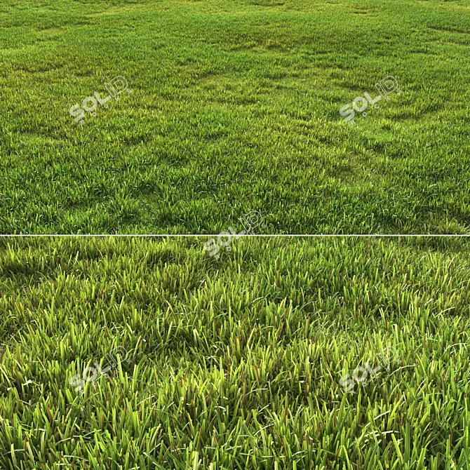 Versatile Grass Pack 3D model image 3