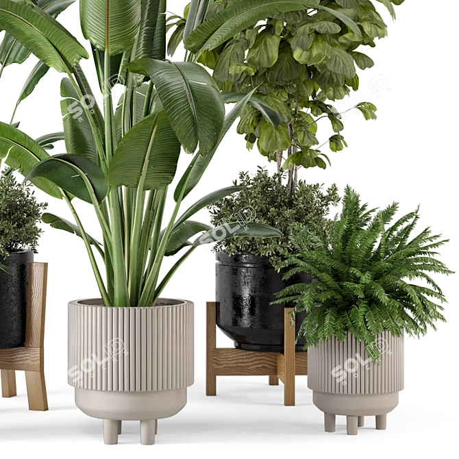 Rusty Concrete Pot Set: Indoor Plants 3D model image 3