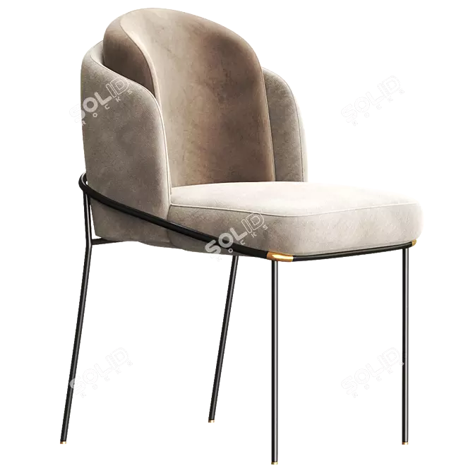 Luxurious FIL NOIR Chair: 2017 Version 3D model image 1