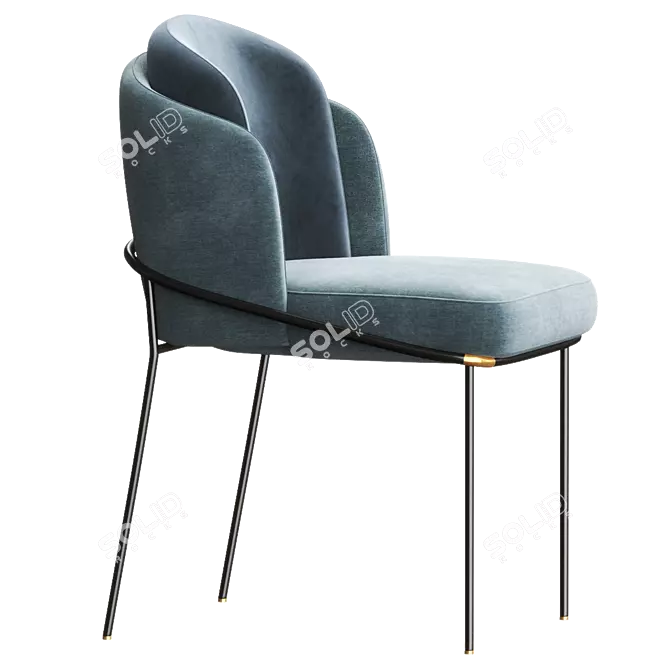 Luxurious FIL NOIR Chair: 2017 Version 3D model image 2