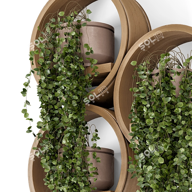 Concrete Pot Hanging Plants Set 3D model image 4