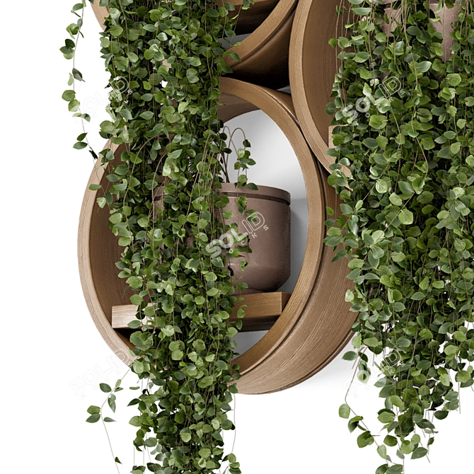 Concrete Pot Hanging Plants Set 3D model image 5