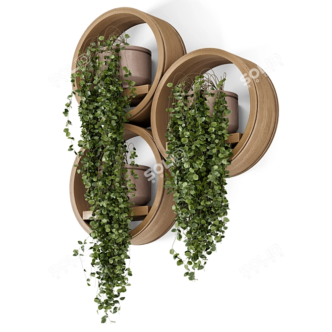 Concrete Pot Hanging Plants Set 3D model image 6