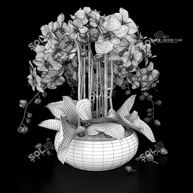Elegant White Orchid Vase 3D model image 3