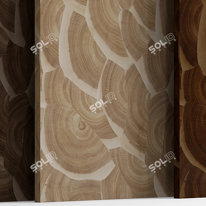 Exquisite Endgrain Segments Wood 3D model image 4