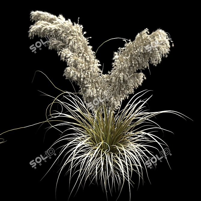 Pampas Bush 2013: V-Ray & Corona Compatible 3D model image 3