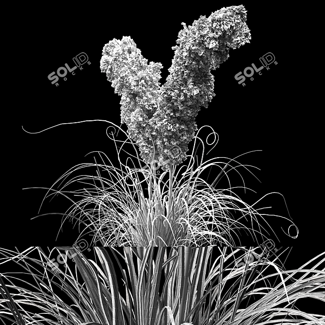 Pampas Bush 2013: V-Ray & Corona Compatible 3D model image 4