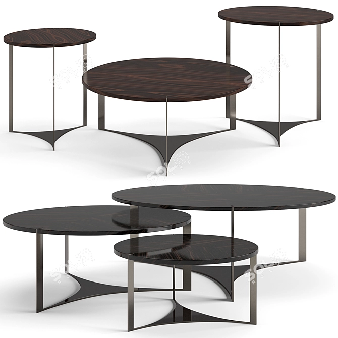 Fendi Casa Tolomeo Coffee Tables 3D model image 1