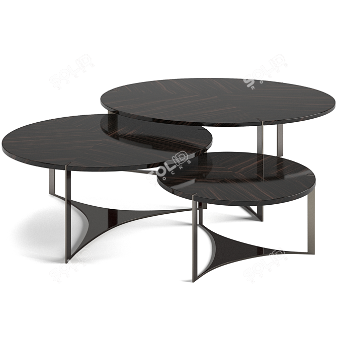 Fendi Casa Tolomeo Coffee Tables 3D model image 2